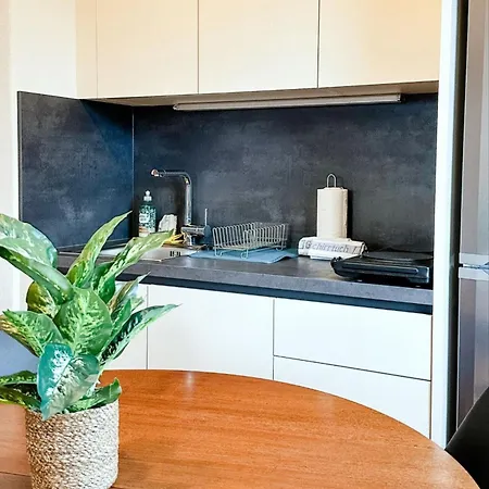 Apartment Sali Homes K39 Monte-carlo -spacious 6-bedroom With Terrace And Garden Views In Ideal For Groups Bayreuth